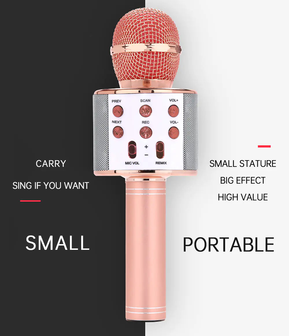 R and B Party™ Wireless Bluetooth Karaoke Microphone with LED Light