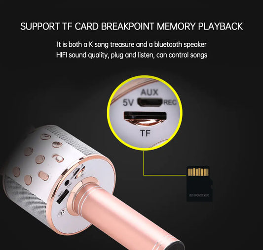 R and B Party™ Wireless Bluetooth Karaoke Microphone with LED Light